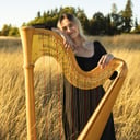 Arfa Strings