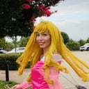 A Princess Miracle