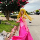 A Princess Miracle