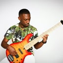 Professional Bassist