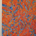 Proschold Arts
