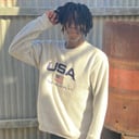 Dimicheal