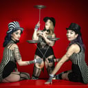 Salty Circus