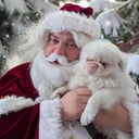 Santa Matt