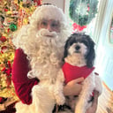 Santa Ray