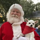 Santa Kevin GNV