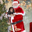 Santa Ric* Professional Real Beard Santa