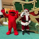 Santa Ron