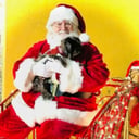 Santa Skip