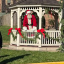 Santa T