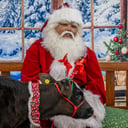 Saratoga Santa
