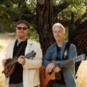 Silvergrass