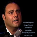 Singer/Pianist/Entertainer