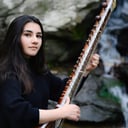Sitarist for hire