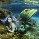 Songbird Siren Productions