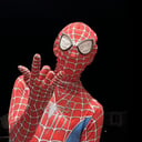 Spider-Man Impersonator