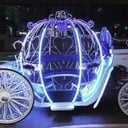 St. Louis Horse Drawn Carriage &amp; Funeral