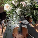 Stanton Strings