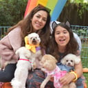 Star Poodlez