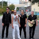 Stone Tampa Pilots