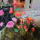 Susie's Florals