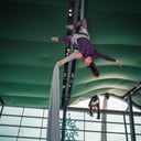 Suspended Animation Aerials