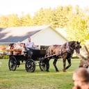 Suthers Carriage Company