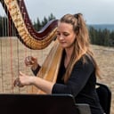 Taking Wing Harp