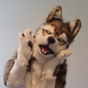 Taz &amp; Friends Furry Entertainment