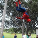 Team Spider-man