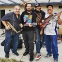 The 4 jays