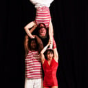 The 505 Circus
