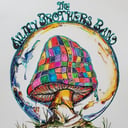 The All My Brothers Band