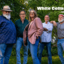 White Collar Crime