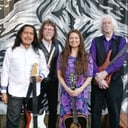 The David Michaels Band