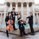 The Dolphins Quartet