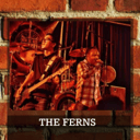 The Ferns