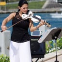 The Fit Fiddler