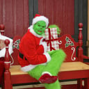 The Grinch for Hire
