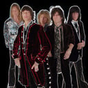 The Hollywood Stones