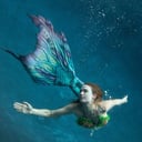The Siren-Syndicate