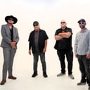 The Mordigans Band
