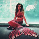 The Siren Scarlett