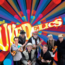 The Ukedelics