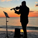 The Violinist