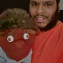 The Arts Of Puppet