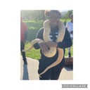 Traveling Reptile Show Exotic Summit