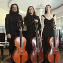 Trio Ponticello