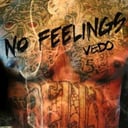 Vedo