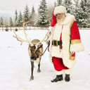 Verified Santa